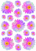 Fietsstickers Gerbera multicolor