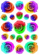 Fietsstickers bloemen rozen mix kleur